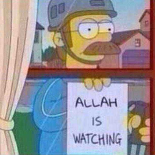 Illustration for article titled Halal memes